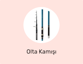 Olta Kamışı