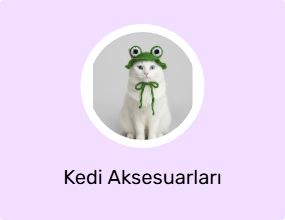 Kedi Aksesuarları