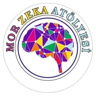 Mor Zeka Atölyesi