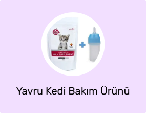 Yavru Kedi Bakım Ürünü
