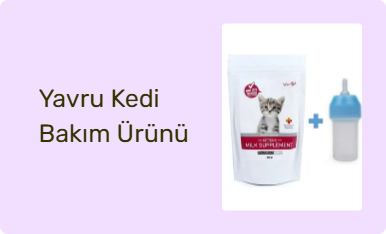 Yavru Kedi Bakım Ürünü