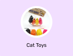 Cat Toys