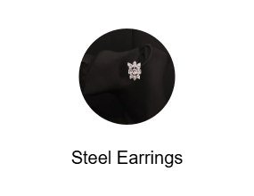Steel Earrings