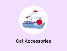 Cat Accessories
