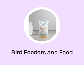 Bird Feeders and Food Boxes