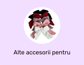 Alte accesorii pentru păr