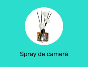 Spray de cameră