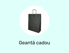 Geantă cadou