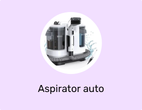 Aspirator auto