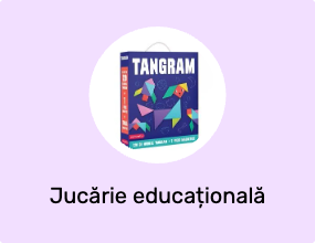 Jucărie educațională