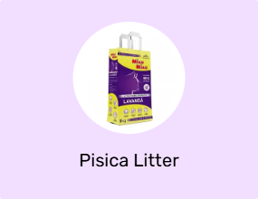 Pisica Litter
