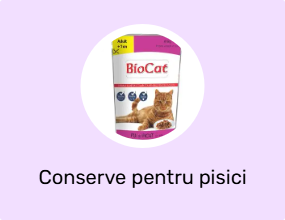 Conserve pentru pisici