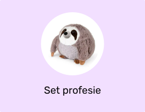 Set profesie