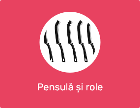Pensulă și role