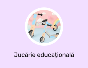 Jucărie educațională