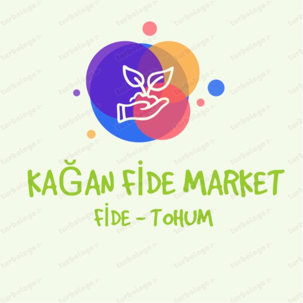 Kağan Fide Market