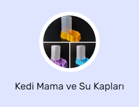 Kedi Mama ve Su Kapları