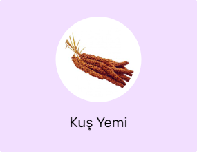 Kuş Yemi