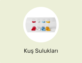 Kuş Sulukları