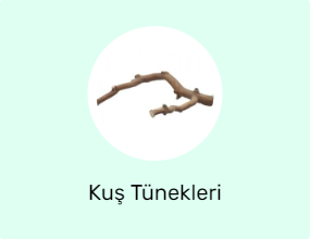Kuş Tünekleri