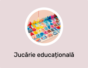 Jucărie educațională