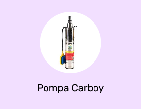 Pompa Carboy
