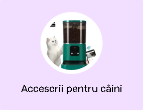 Accesorii pentru câini