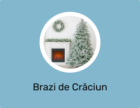 Brazi de Crăciun
