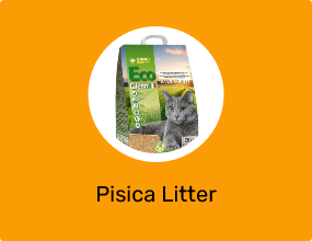 Pisica Litter