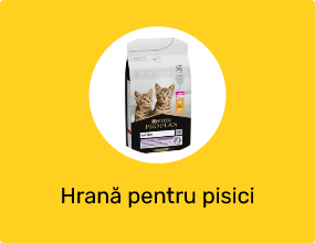 Hrană pentru pisici