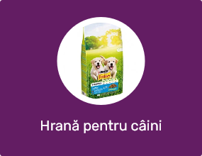 Hrană pentru câini