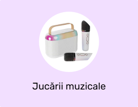 Jucării muzicale