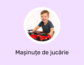 Mașinuțe de jucărie