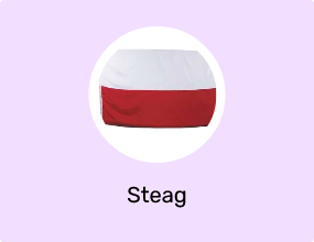Steag