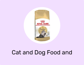 Cat and Dog Food and Water Containers