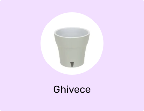 Ghivece