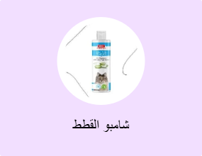 شامبو القطط