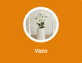 Vazo