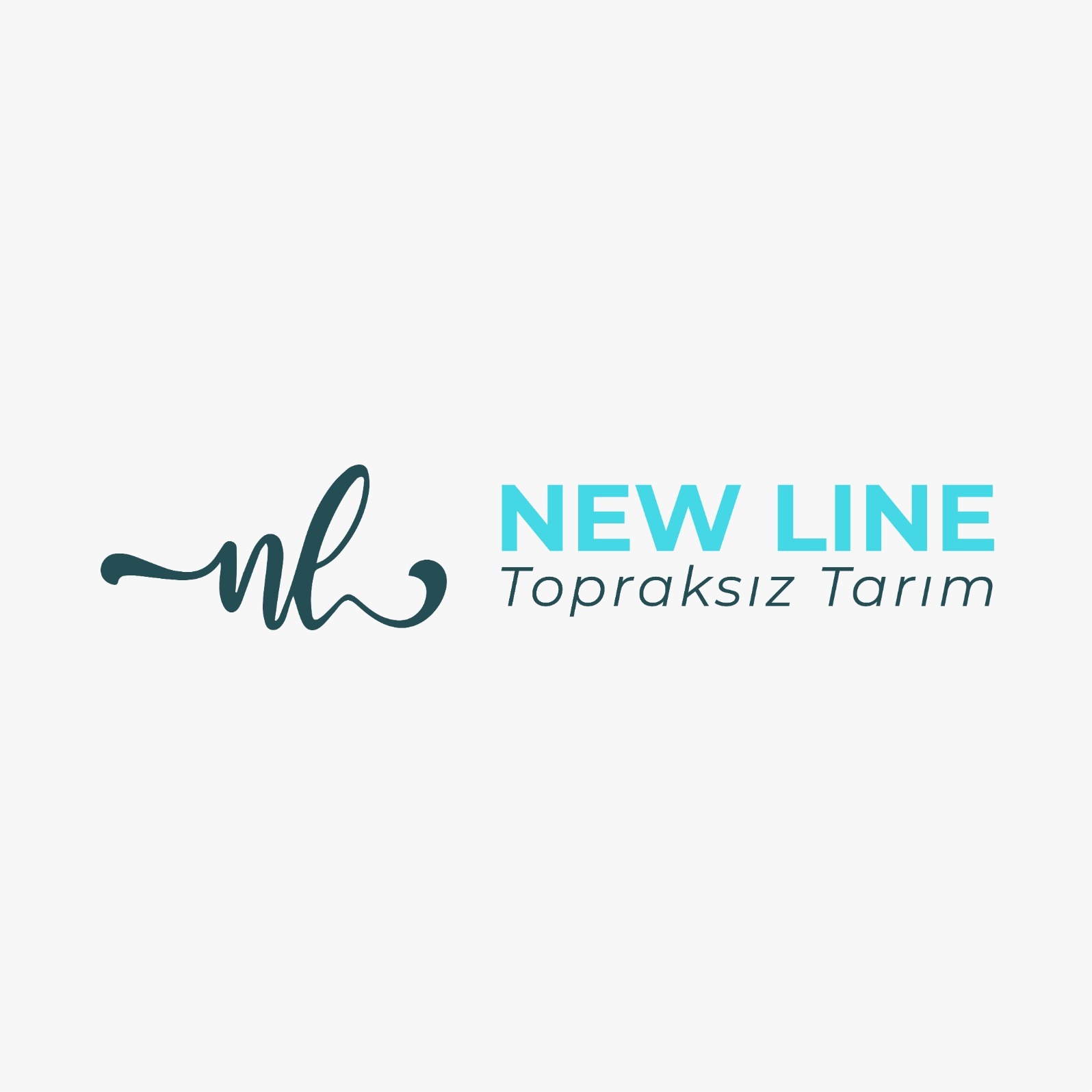 New Line TT