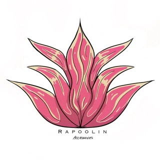Rapoolin Accessories