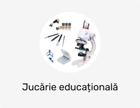 Jucărie educațională