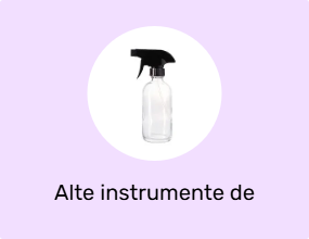 Alte instrumente de curățare a casei