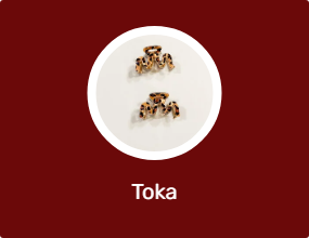 Toka