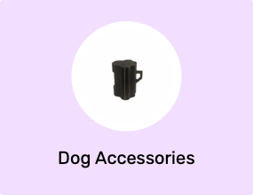 Dog Accessories