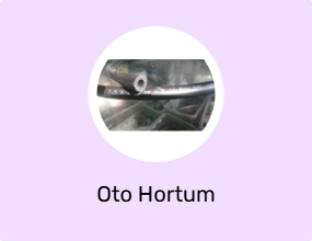 Oto Hortum