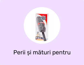 Perii și mături pentru curățenie