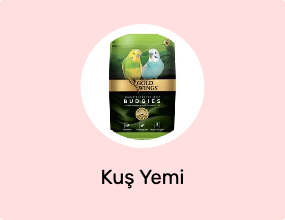 Kuş Yemi