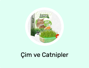 Çim ve Catnipler
