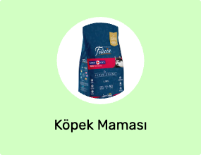 Köpek Maması