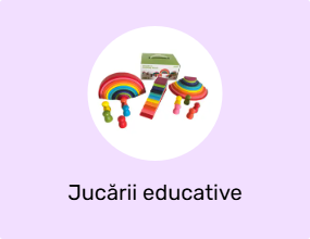 Jucărie educațională